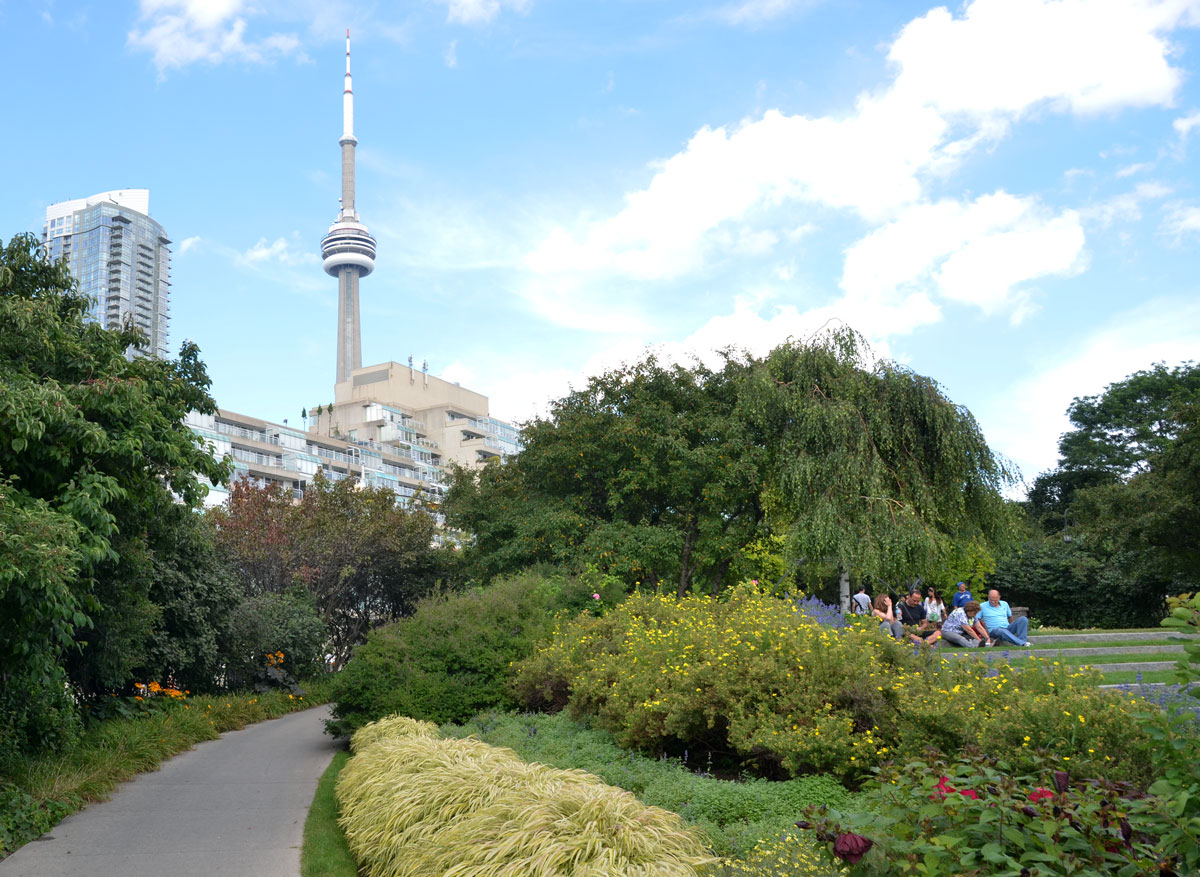 park on Toronto waterfront with the CN tower in the background.  
