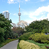 park on Toronto waterfront, with the CN tower in the background.  