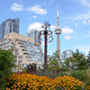 the music garden at Toronto's waterfront, in summer, with the CN tower in the background.  