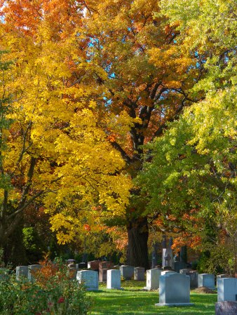 October, trees in their autumn colors