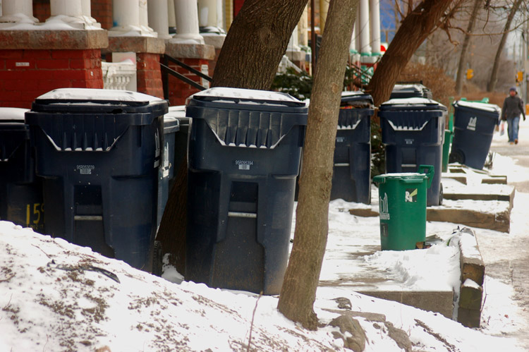 many recycling bins in front yards