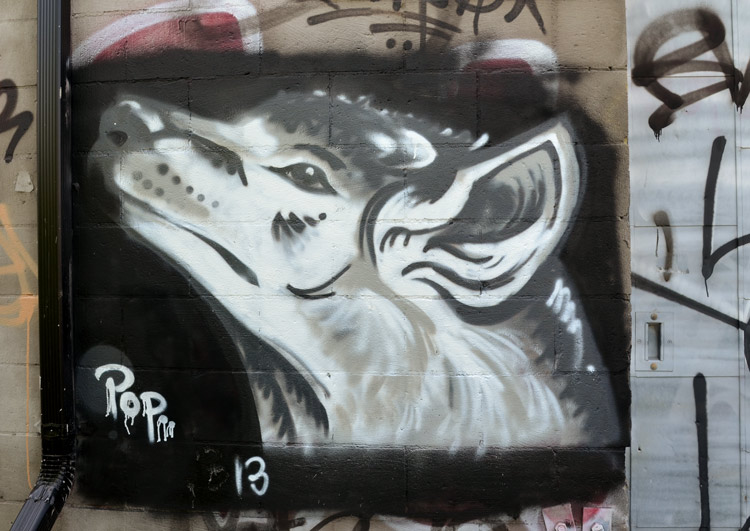 graffiti of a black and white dog with large ears, head and neck only