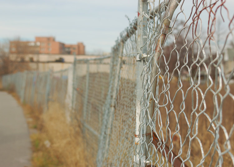 chainlink fence in the foreground