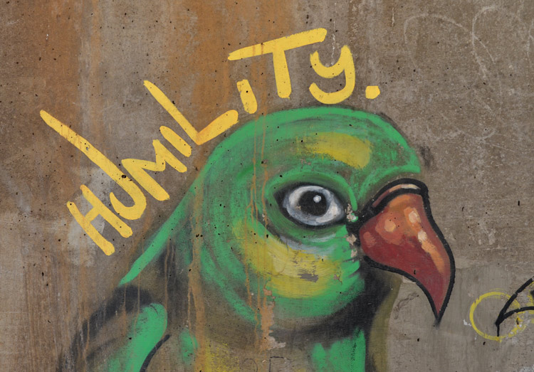 the head of a bird painted on concrete, with the word humility in yellow letters beside it