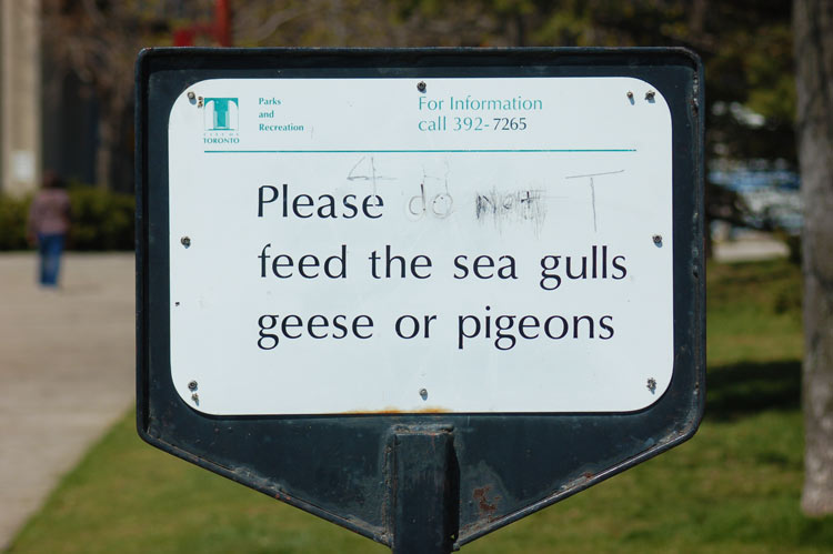 a sign that originally said do not feed the birds, but the word not has been removed