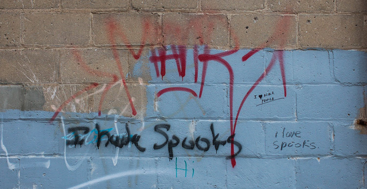 graffiti with some words that say I love spooks and other words that say I hate spooks